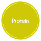 Protein Icon